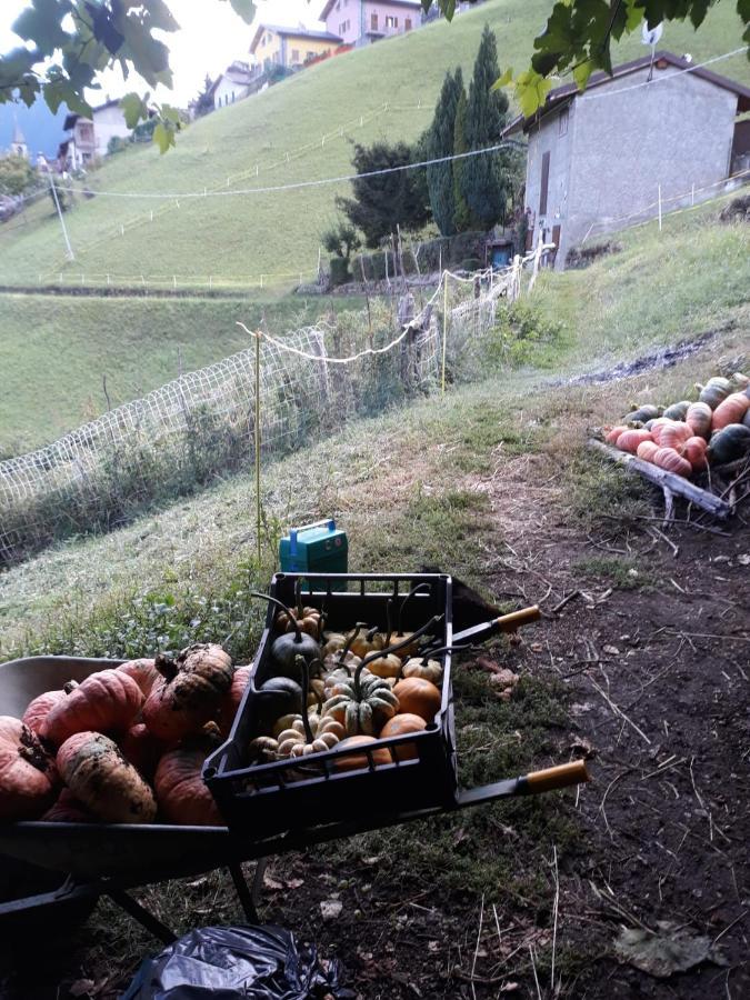 Graziosa, Casetta In Valgerola Rasura Eksteriør billede